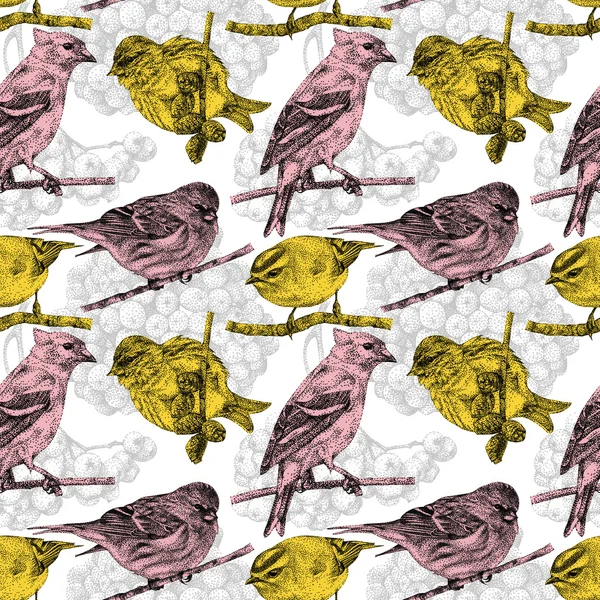 Patrón sin costuras con diferentes aves y plantas dibujadas a mano — Foto de Stock