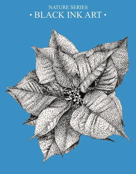 Ilustración con flor Poinsettia dibujada a mano con tinta negra — Foto de Stock
