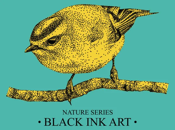 Ilustração com crista de ouro de pássaro desenhada à mão com tinta preta — Fotografia de Stock