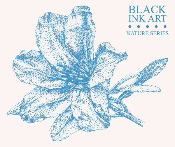 Ilustrace s květ Azalea nakreslil s černým inkoustem — Stock fotografie