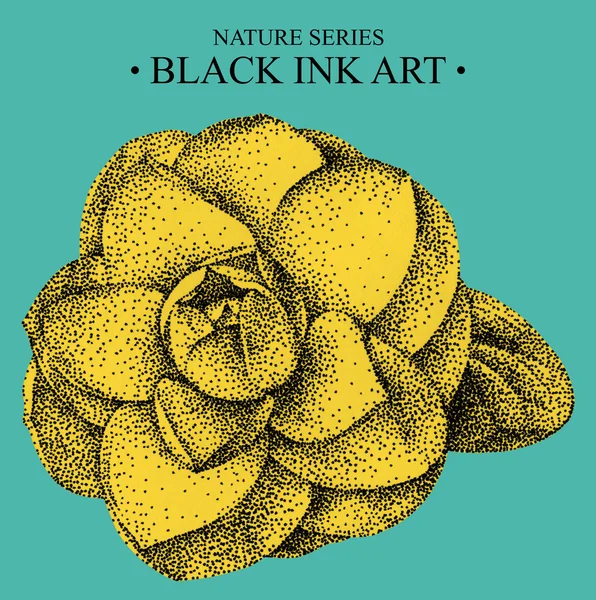 Illustration mit Blütenkamelie von Hand mit schwarzer Tinte gezeichnet — Stockfoto