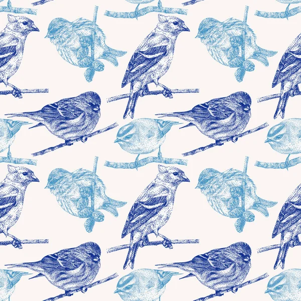 Nahtloses Muster mit verschiedenen Vögeln von Hand mit schwarzer Tinte gezeichnet — Stockfoto