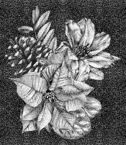 Összetétele a különböző virágok és növények, kézzel rajzolt b — Stock Fotó