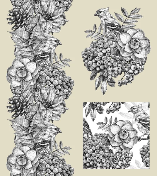 枠線、パターン、および別の花、鳥、黒インクで手書きの植物図のセット — ストック写真