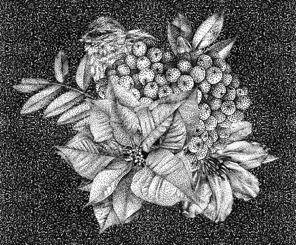 A különböző virágok, madarak, növények, kézzel rajzolt összetétele — Stock Fotó