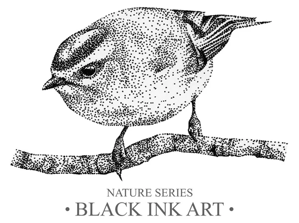 与鸟 goldcrest 用黑色墨水用手工绘制的插图 — 图库照片