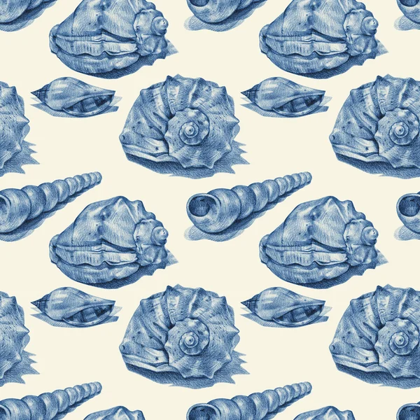 Patrón sin costuras con diferentes conchas marinas dibujadas a mano con lápiz —  Fotos de Stock