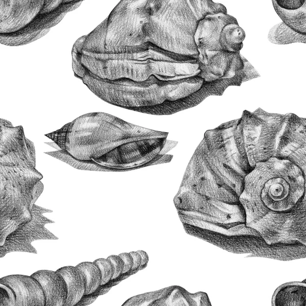 Naadloze patroon met verschillende schelpen met de hand getekend met potlood — Stockfoto