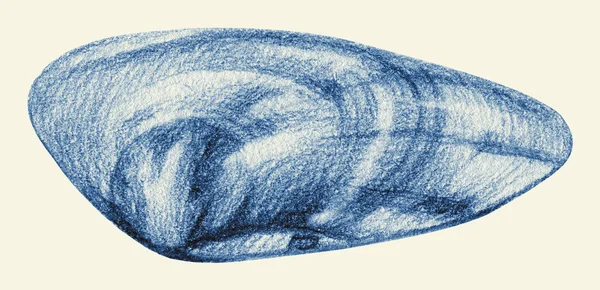 Ilustração com concha desenhada à mão com lápis — Fotografia de Stock