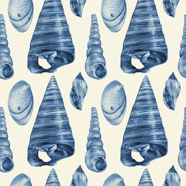 Patrón sin costuras con diferentes conchas marinas dibujadas a mano con lápiz —  Fotos de Stock