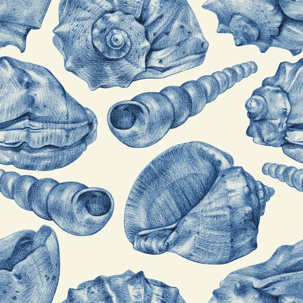 Seamless pattern with different seashells drawn by hand with pencil — Stock Photo, Image
