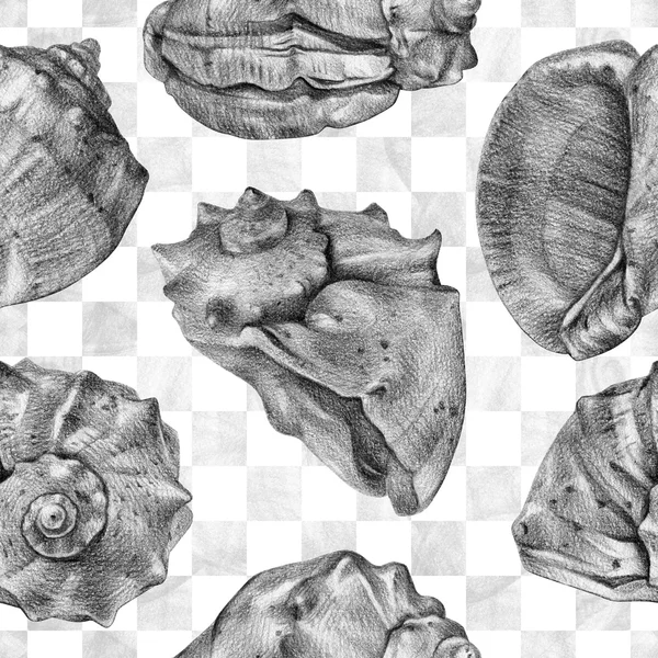 Seamless pattern with different seashells drawn by hand with pencil — Stock Photo, Image