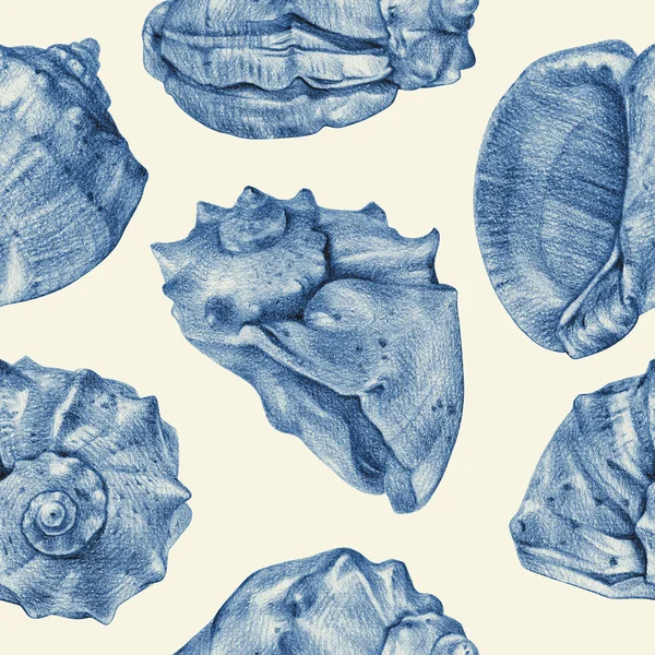 Varrat nélküli mintát a különböző tengeri kagylókból készült kézzel, ceruzával — Stock Fotó