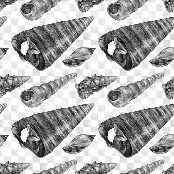 Seamless pattern with different seashells drawn by hand with pencil