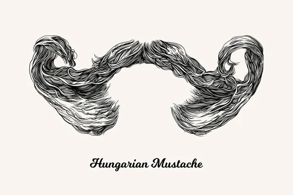 Bigote Húngaro Ilustración Lineal Simple Con Peinado Moda Los Hombres — Archivo Imágenes Vectoriales