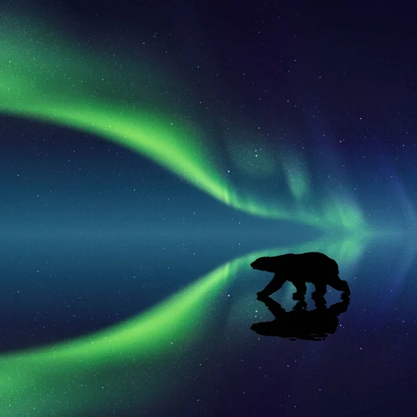 Eisbär Der Nacht Tierische Silhouette Nordlichter Sternenhimmel — Stockvektor