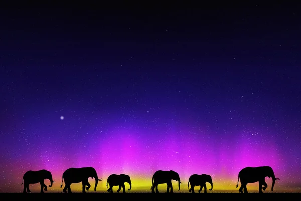 Famille Éléphants Nuit Étoilée Silhouettes Animales Aurora Boréale — Image vectorielle