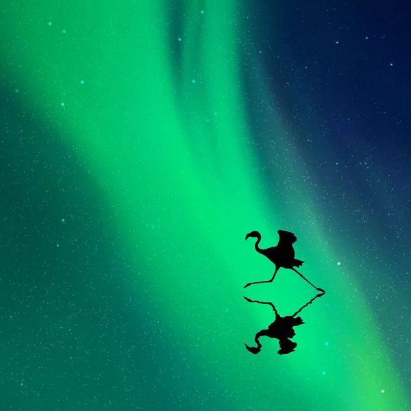 Fenicottero Esecuzione Silhouette Uccello Notte Aurora Boreale Verde — Vettoriale Stock
