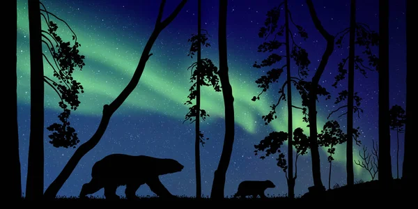 Famille Ours Dans Forêt Nuit Silhouettes Animales Aurora Boréale — Image vectorielle