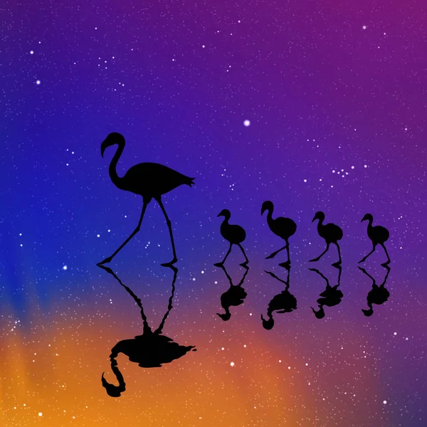 Flamingo Family Lake Night Birds Silhouettes Aurora Borealis — ストックベクタ