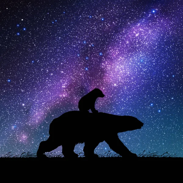 Osos Familia Por Noche Siluetas Animales Cielo Estrellado Vía Láctea — Vector de stock