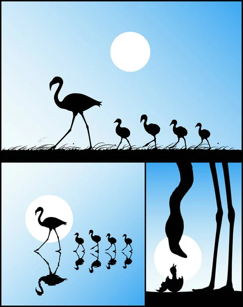 Família Flamingo Sílhueta Isolada Aves Perigo Mãe Filho —  Vetores de Stock