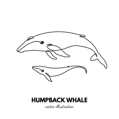 Balina ailesi. Sürekli tek sıra halinde. Hayvan taslağı. Doğrusal logo