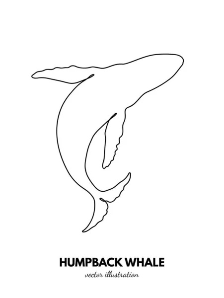 Esbozo Ballena Línea Única Continua Contorno Animal Logotipo Lineal — Vector de stock