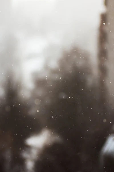 Falling snowflakes in winter — Stock Photo, Image