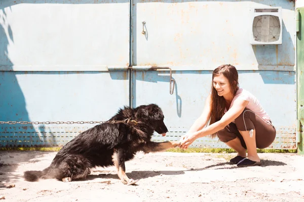 少女と犬の友情 — ストック写真