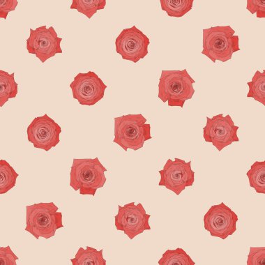 Güzel güller ile sorunsuz vektör desen