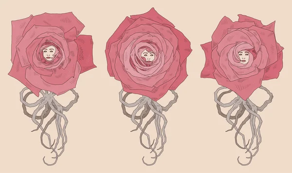 Illustration vectorielle avec trois roses de dessin animé abstraites — Image vectorielle