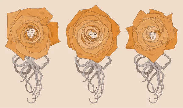 Ilustração vetorial com três rosas de desenhos animados abstratas — Vetor de Stock