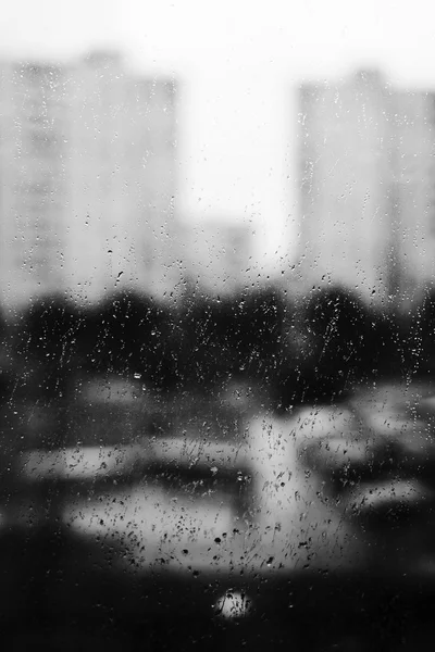 Drops of rain — Stock Photo, Image