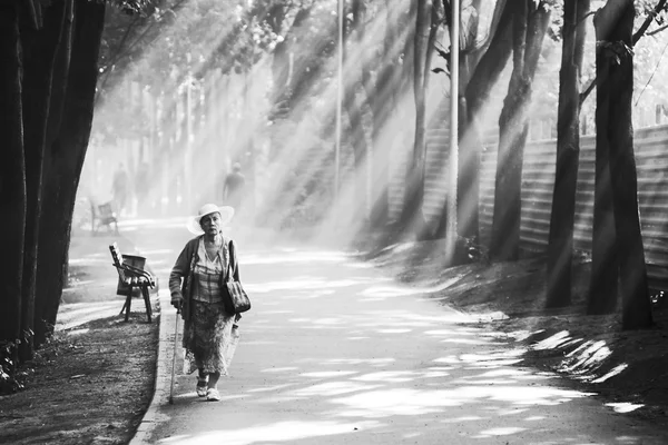 公園での女性ράφι κρασιού — ストック写真