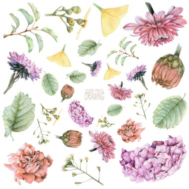 Set of different spring flowers and plants clipart