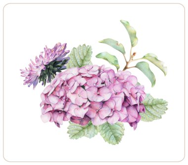 kompozisyon farklı bahar çiçek ve bitkilerin