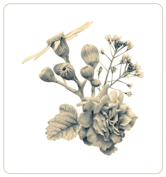 別の春の花と植物の組成 — ストック写真