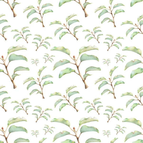 Nahtloses Muster mit schönen Frühlingspflanzen — Stockfoto