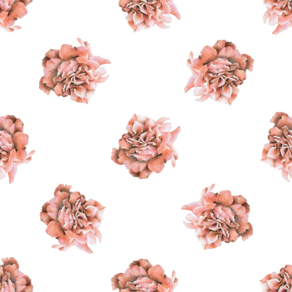 美しいバラの花とのシームレスなパターン — ストック写真