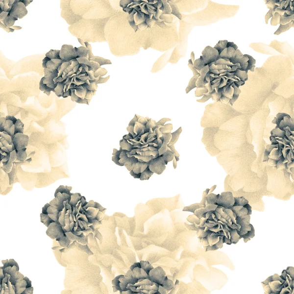 Seamless pattern with beautiful roses — Stock Photo, Image