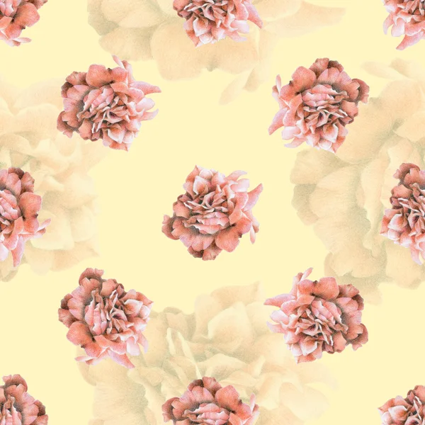 Seamless pattern with beautiful roses — Stock Photo, Image