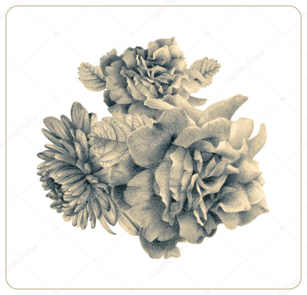 posizione di diversi primavera fiori e piante disegnati a mano con le matite colorate disegno a matita bouquet floreale ikeban — Foto di arvitalyaa