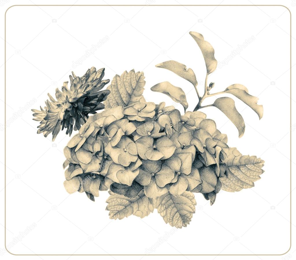 posizione di diversi primavera fiori e piante disegnati a mano con le matite colorate disegno a matita bouquet floreale ikeban — Foto di arvitalyaa