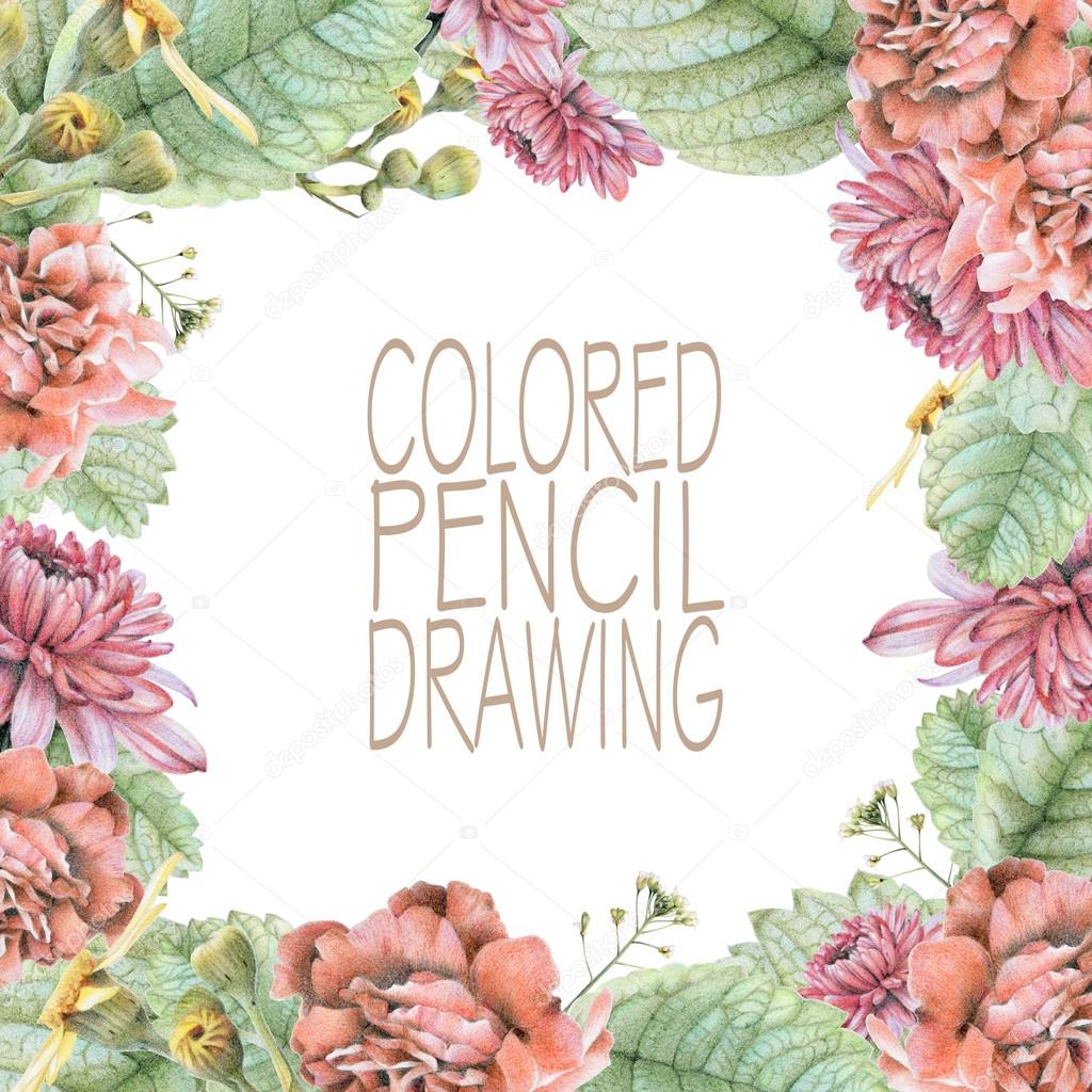 Cornice quadrata con bella primavera fiori e piante disegnati a mano con le matite colorate Disegno a matita Posto per il testo