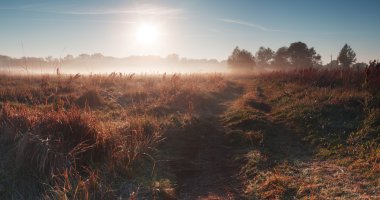 Kırsal alan, sisli çayır.