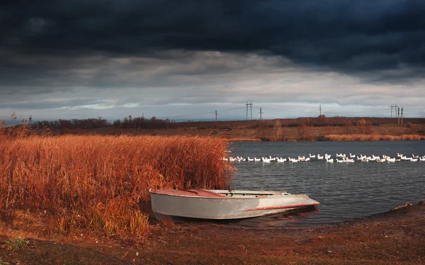 Vidéki táj a csónakot, és a madarak — Stock Fotó