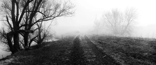 Paisaje brumoso con carretera — Foto de Stock