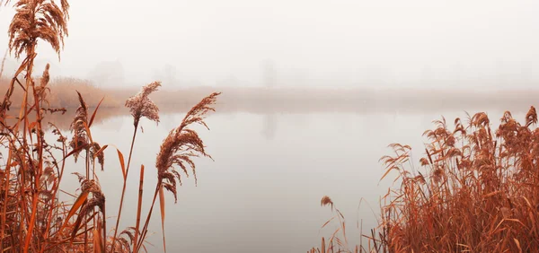 Paisaje con río en niebla — Foto de Stock