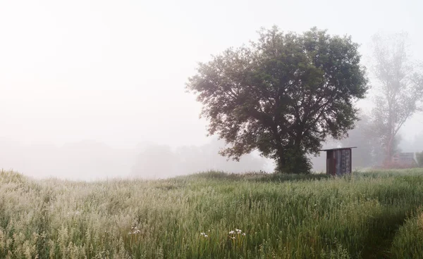 Tavaszi vidéki táj — Stock Fotó